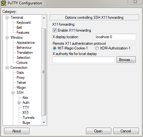 PuTTY X11
